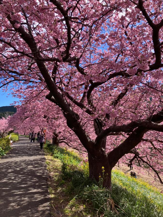 下田市旧南豆 ภายนอก รูปภาพ